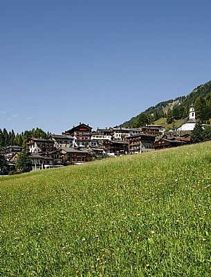 Sauris